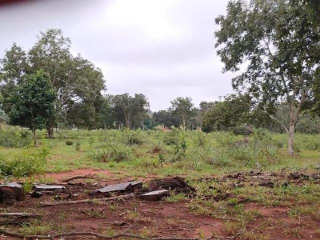 Sítio e chácara venda em Terenos, Região Geográfica Intermediária de Campo Grande