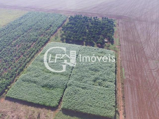 Sítio e chácara venda em Terenos