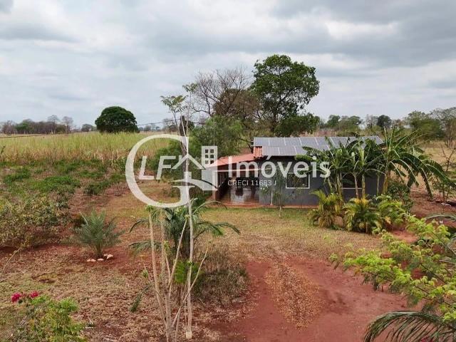 Sítio e chácara venda em Terenos