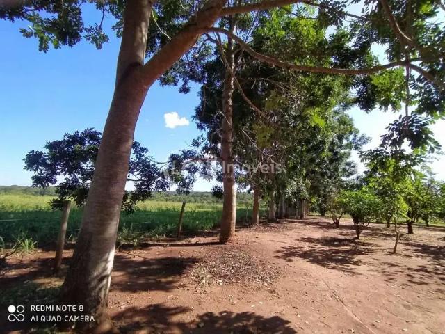 Sítio e chácara venda em Região Geográfica Imediata de Juiz de Fora, Chácara
