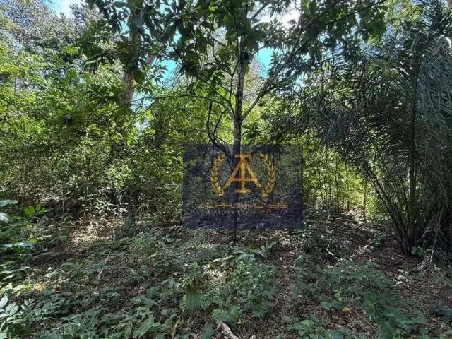 Sítio e chácara venda em Região Geográfica Imediata de Campo Grande, Terenos