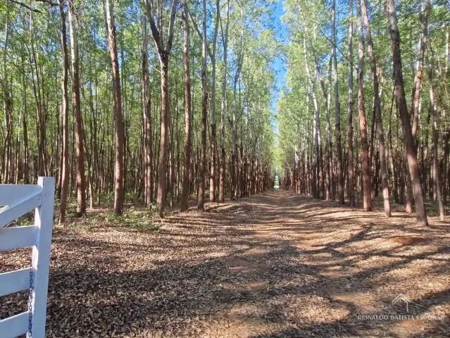 Sítio e chácara venda em Região Geográfica Imediata de Campo Grande, Terenos