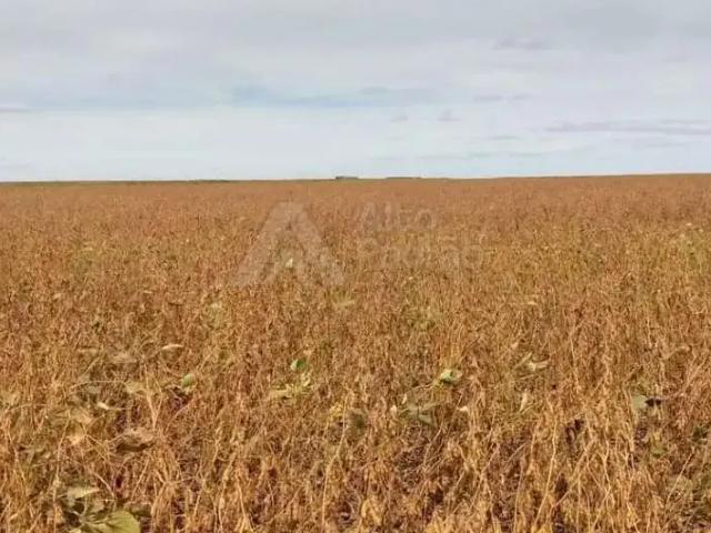 Sítio e chácara venda em Região Geográfica Imediata de Teresina, Região Integrada de Desenvolvimento da Grande Teresina