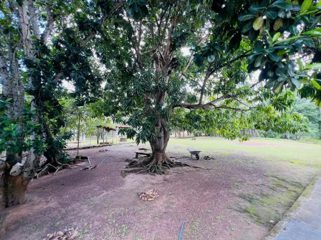 Sítio e chácara venda em Região Geográfica Imediata de Teresina, Região Integrada de Desenvolvimento da Grande Teresina