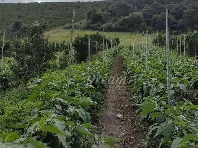 Sítio e chácara venda em Região Geográfica Imediata de Petrópolis, Teresópolis