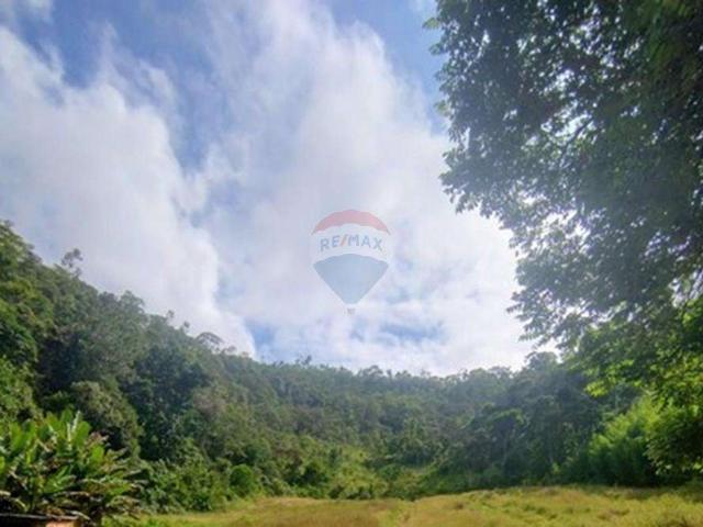 Sítio e chácara venda em Região Geográfica Imediata de Petrópolis, Teresópolis