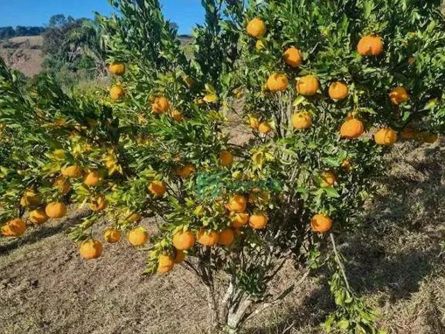 Sítio e chácara venda em Região Geográfica Imediata de Petrópolis, Teresópolis