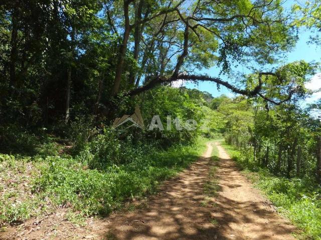 Sítio e chácara venda em Região Geográfica Imediata de Petrópolis, Teresópolis