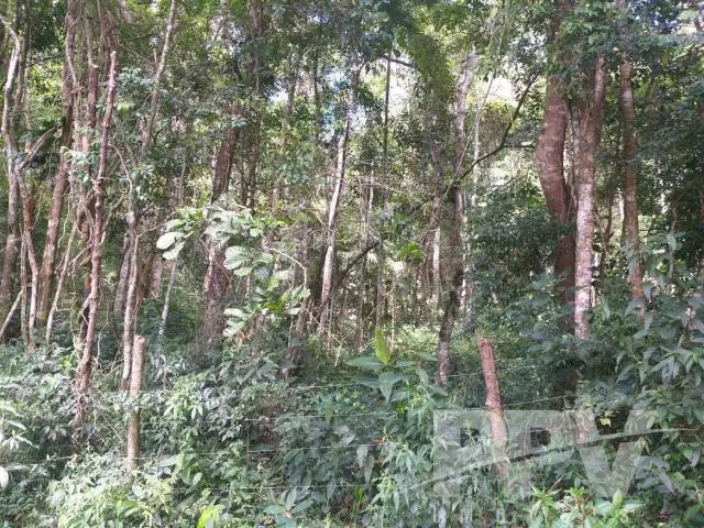 Sítio e chácara venda em Região Geográfica Imediata de Petrópolis, Teresópolis