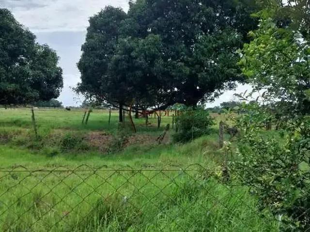 Sítio e chácara venda em Região Geográfica Imediata de Paranavaí, Terra Rica