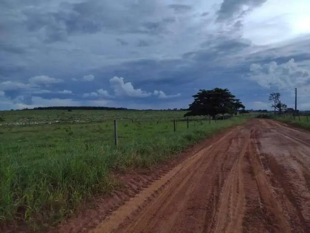 Sítio e chácara venda em Região Geográfica Imediata de Rondonópolis, Tesouro