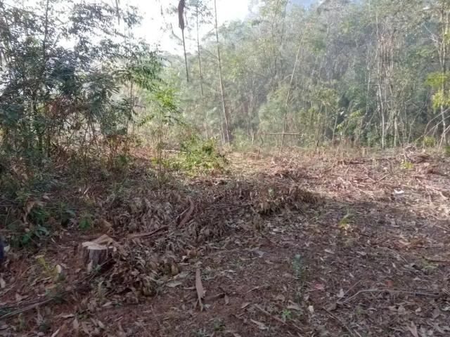 Sítio e chácara venda em Região Geográfica Imediata de Telêmaco Borba, Tibagi