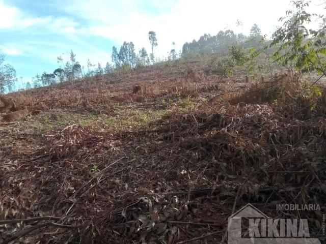 Sítio e chácara venda em Região Geográfica Imediata de Telêmaco Borba, Tibagi