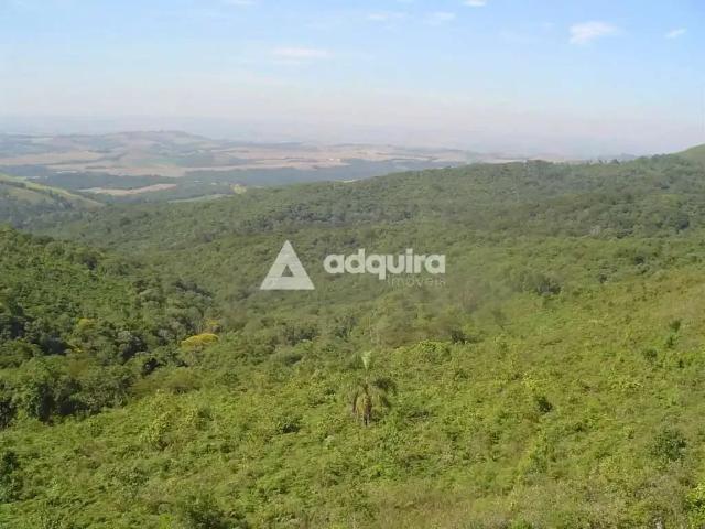 Sítio e chácara venda em Região Geográfica Imediata de Telêmaco Borba, Tibagi