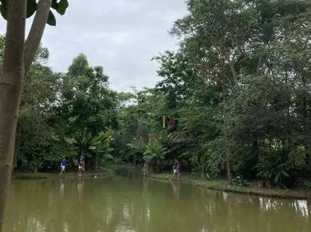 Sítio e chácara venda em Região Imediata de Sorocaba, Região Metropolitana de Sorocaba