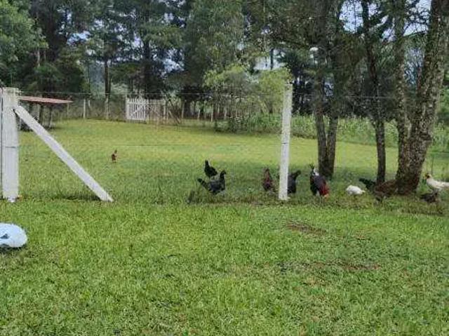 Sítio e chácara venda em Região Geográfica Imediata de Curitiba, Região Metropolitana de Curitiba