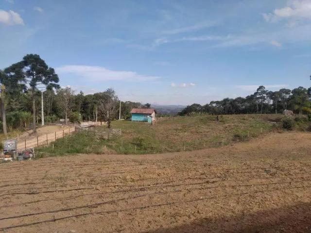 Sítio e chácara venda em Tijucas do Sul, Região Geográfica Intermediária de Curitiba