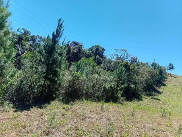 Sítio e chácara venda em Região Geográfica Imediata de Curitiba, Região Metropolitana de Curitiba