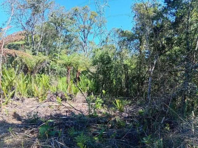 Sítio e chácara venda em Região Geográfica Imediata de Curitiba, Região Metropolitana de Curitiba