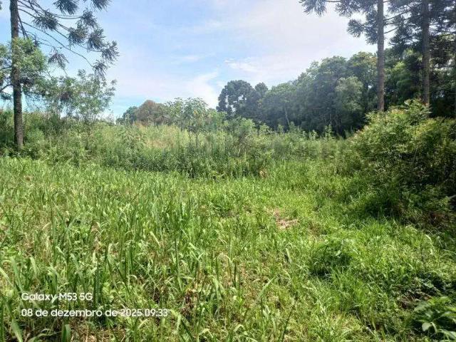 Sítio e chácara venda em Região Geográfica Imediata de Curitiba, Região Metropolitana de Curitiba
