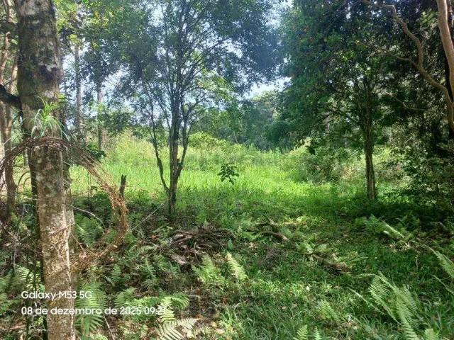 Sítio e chácara venda em Região Geográfica Imediata de Curitiba, Região Metropolitana de Curitiba