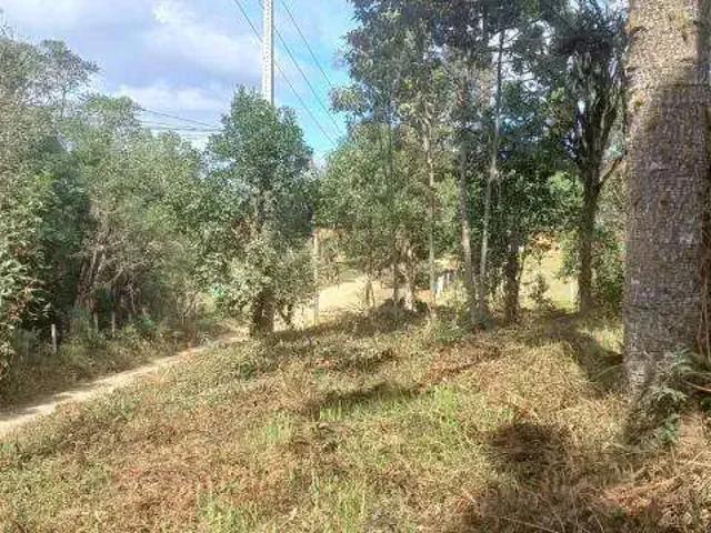 Sítio e chácara venda em Tijucas do Sul, Região Geográfica Intermediária de Curitiba