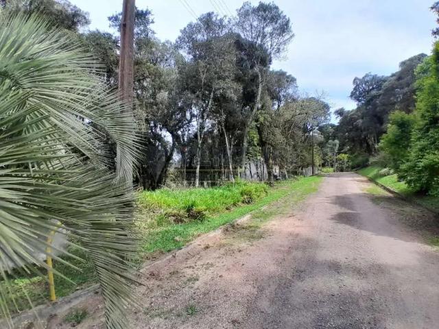 Sítio e chácara venda em Região Geográfica Imediata de Curitiba, Região Metropolitana de Curitiba