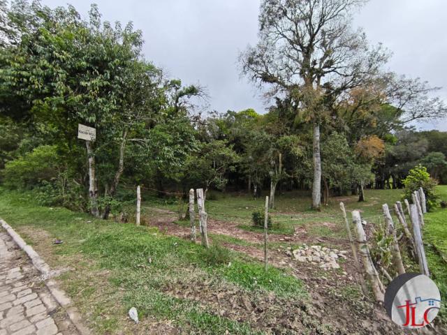 Sítio e chácara venda em Tijucas do Sul, Região Geográfica Intermediária de Curitiba