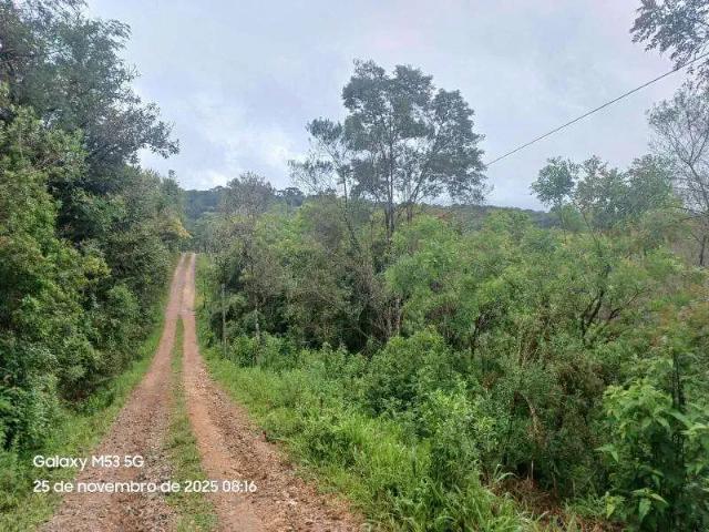 Sítio e chácara venda em Região Geográfica Imediata de Curitiba, Região Metropolitana de Curitiba