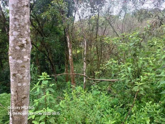 Sítio e chácara venda em Região Geográfica Imediata de Curitiba, Região Metropolitana de Curitiba