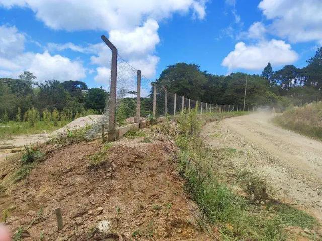 Sítio e chácara venda em Região Geográfica Imediata de Curitiba, Região Metropolitana de Curitiba