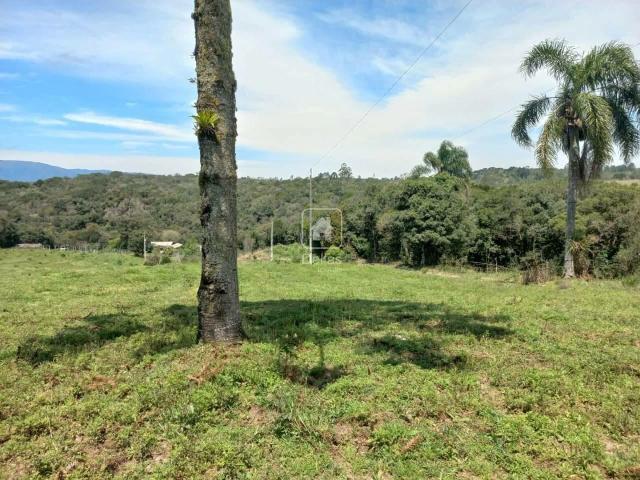 Sítio e chácara venda em Tijucas do Sul, Região Geográfica Intermediária de Curitiba