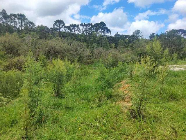 Sítio e chácara venda em Região Geográfica Imediata de Curitiba, Região Metropolitana de Curitiba