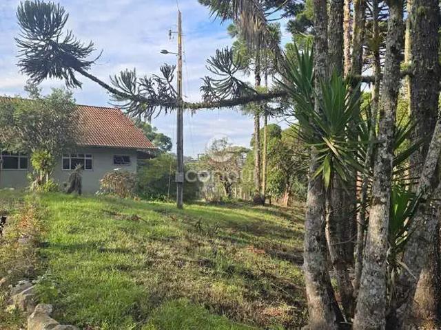Sítio e chácara venda em Região Geográfica Imediata de Curitiba, Região Metropolitana de Curitiba