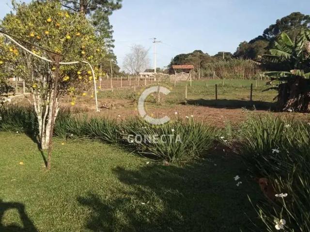 Sítio e chácara venda em Região Geográfica Imediata de Curitiba, Região Metropolitana de Curitiba