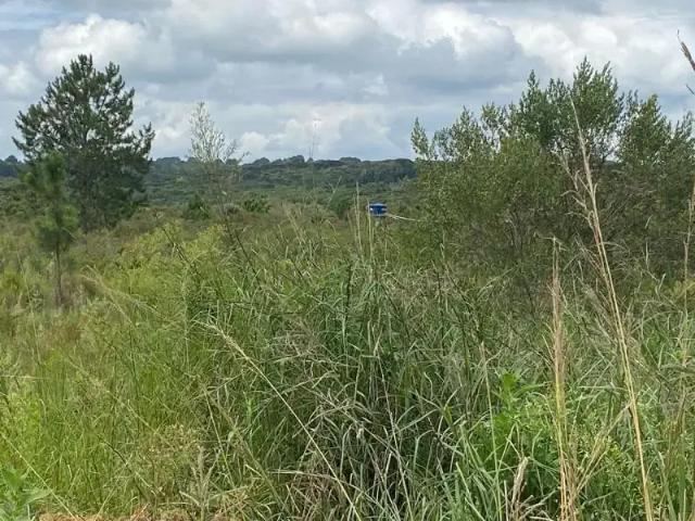 Sítio e chácara venda em Região Geográfica Imediata de Curitiba, Região Metropolitana de Curitiba