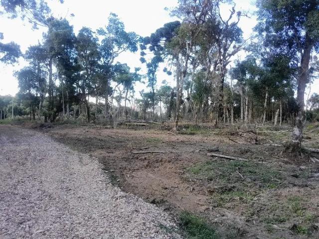 Sítio e chácara venda em Região Geográfica Imediata de Curitiba, Região Metropolitana de Curitiba
