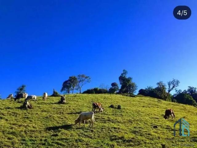 Sítio e chácara venda em Região Geográfica Imediata de Curitiba, Região Metropolitana de Curitiba
