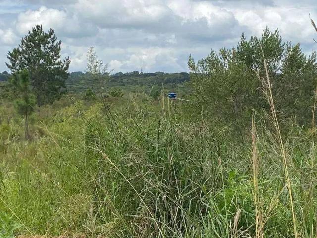 Sítio e chácara venda em Tijucas do Sul, Região Geográfica Intermediária de Curitiba