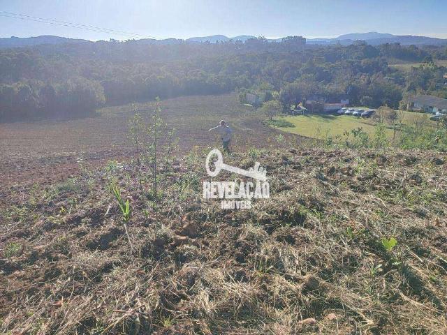 Sítio e chácara venda em Tijucas do Sul, Região Geográfica Intermediária de Curitiba
