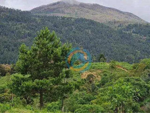 Sítio e chácara venda em Região Geográfica Imediata de Curitiba, Região Metropolitana de Curitiba