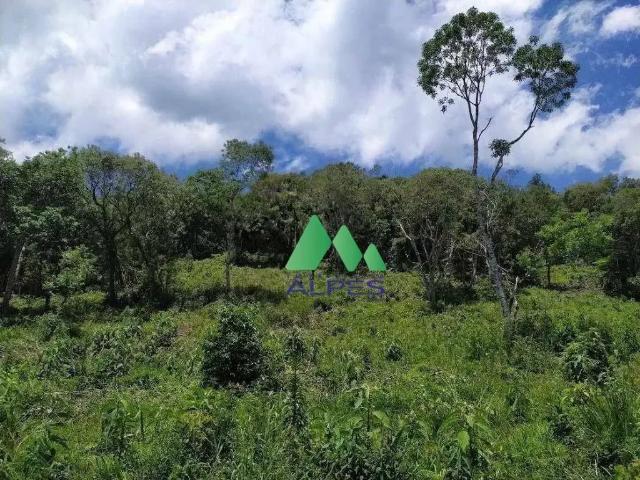 Sítio e chácara venda em Região Geográfica Imediata de Curitiba, Região Metropolitana de Curitiba