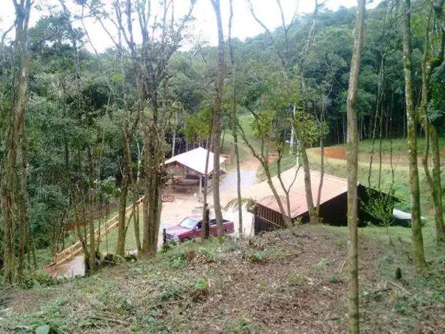 Sítio e chácara venda em Região Geográfica Imediata de Curitiba, Região Metropolitana de Curitiba