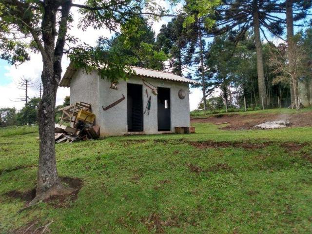 Sítio e chácara venda em Região Geográfica Imediata de Curitiba, Região Metropolitana de Curitiba