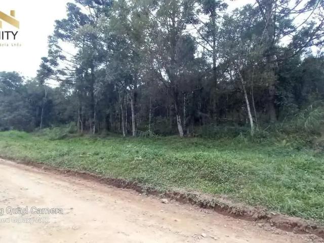Sítio e chácara venda em Região Geográfica Imediata de Curitiba, Região Metropolitana de Curitiba
