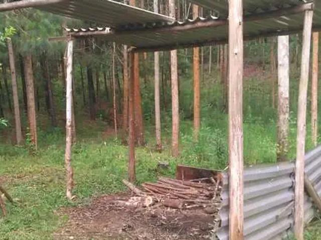 Sítio e chácara venda em Região Geográfica Imediata de Curitiba, Região Metropolitana de Curitiba