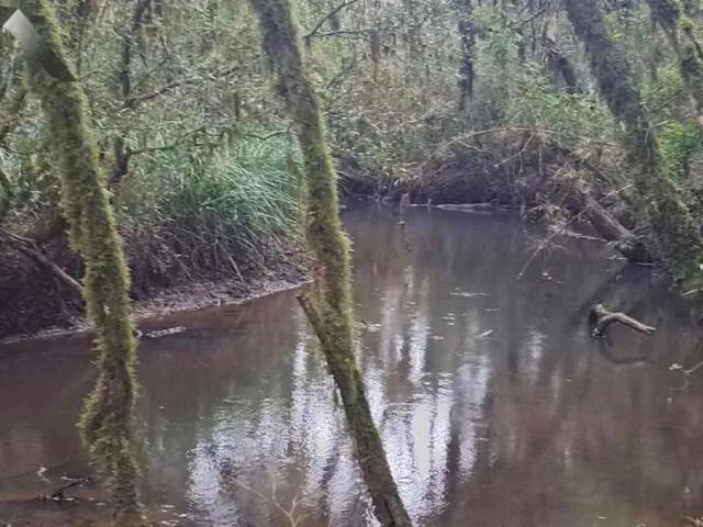 Sítio e chácara venda em Região Geográfica Imediata de Curitiba, Região Metropolitana de Curitiba