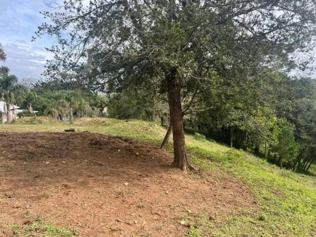 Sítio e chácara venda em Região Geográfica Imediata de Curitiba, Região Metropolitana de Curitiba