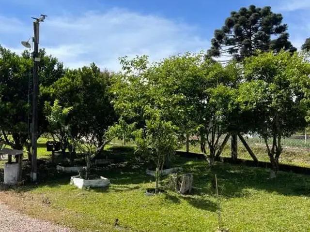 Sítio e chácara venda em Tijucas do Sul, Região Geográfica Intermediária de Curitiba