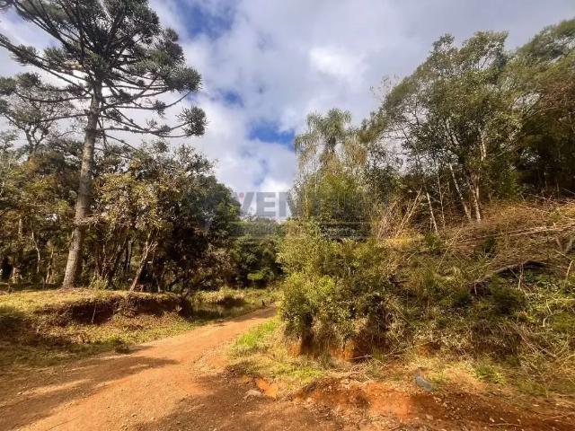 Sítio e chácara venda em Região Geográfica Imediata de Curitiba, Região Metropolitana de Curitiba